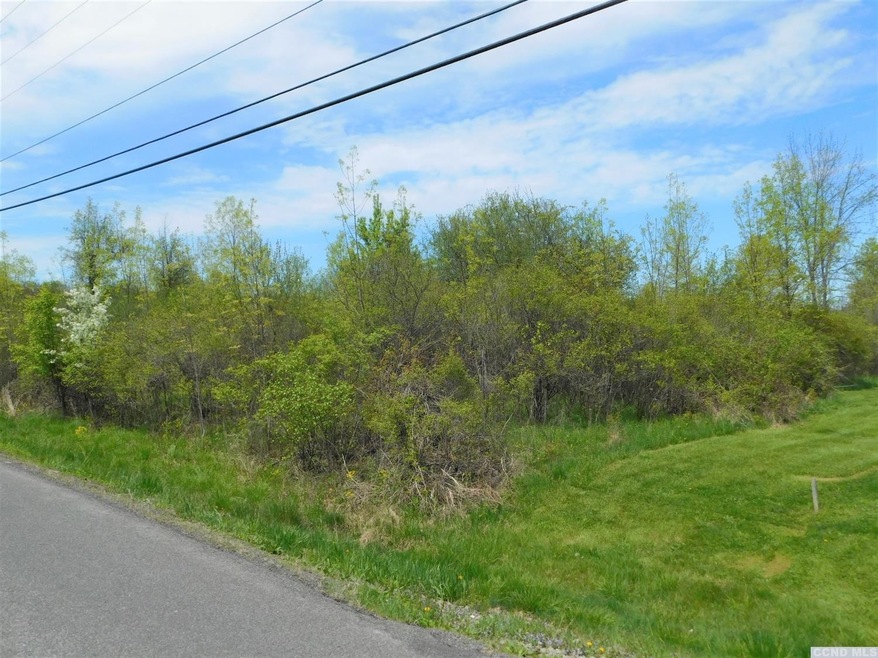 0 Union St unit 120884, Athens, NY 12015 - photo 1