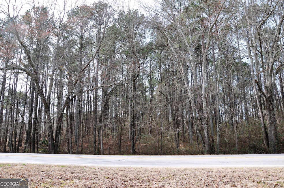 0 Monroe Hwy unit 10466108, Bethlehem, GA 30620 - photo 1