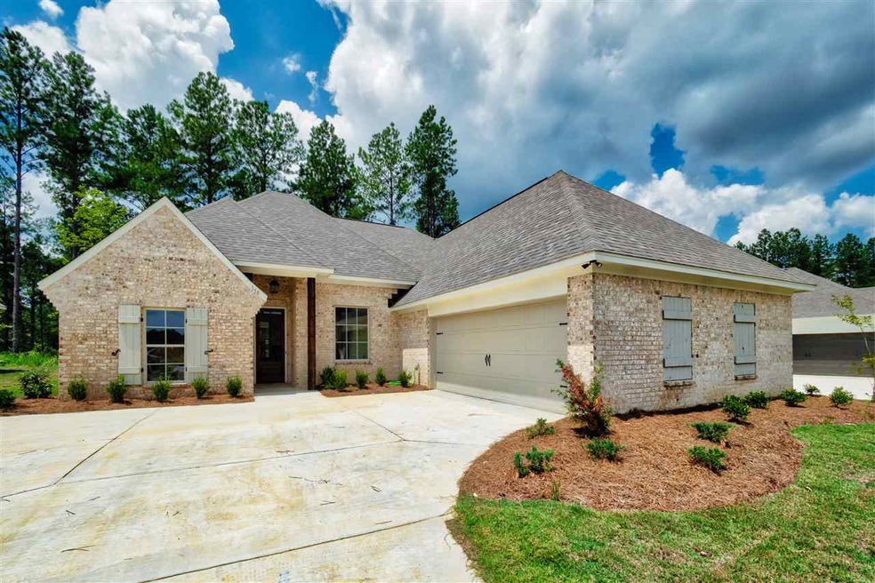 158 Hampton Ridge, Madison, MS 39110 - photo 1