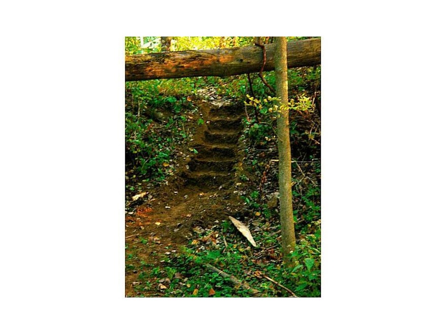 Yard. Stairs carved from the earth going down the 