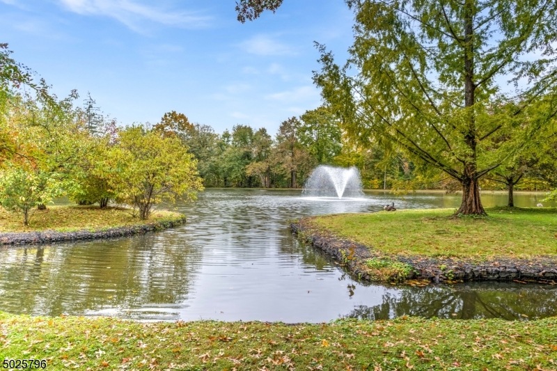 211 Main St Apt 10, Peapack Gladstone Boro, NJ 07934 - photo 1