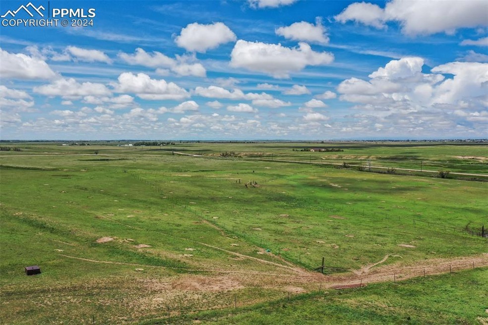 View of local wilderness with a rural view