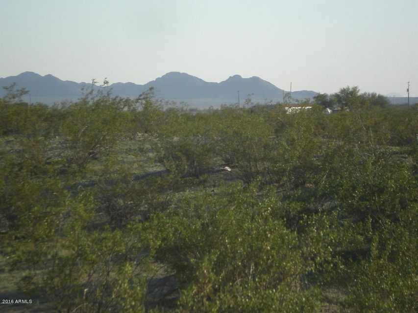 LAND PIC 2