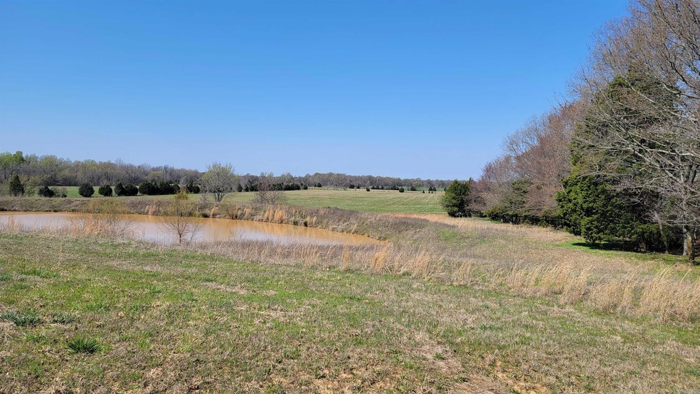 unlisted-address, Paragould, AR 72450 - photo 1