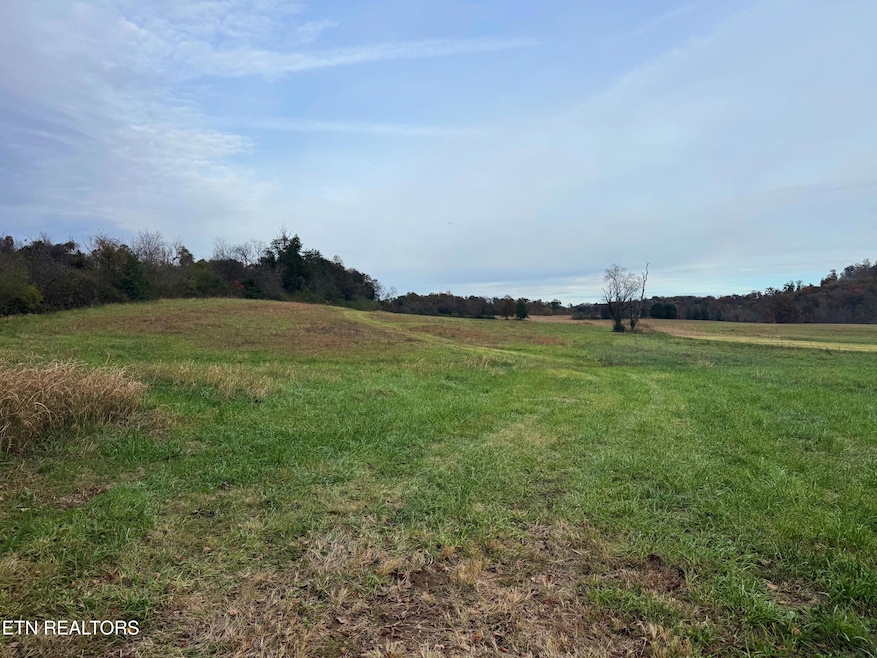 Tract E-2 Haws Rd, Knoxville, TN 37920 - photo 1