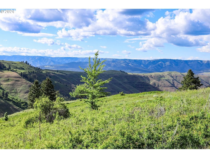 0 Highway 3 St unit 23058297, Enterprise, OR 97828 - photo 1