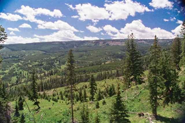 Big EZ Lot 16, Big Sky, MT 59716 - photo 1