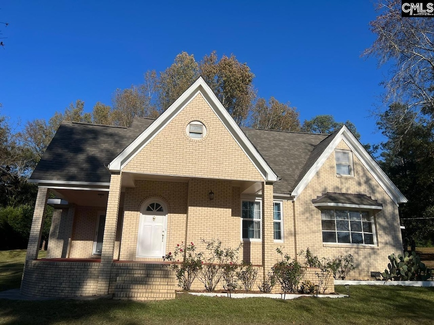 172 S Pine St, Batesburg, SC 29006 - photo 1