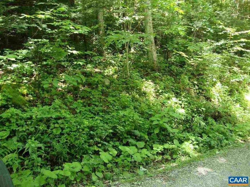 0 Zinks Mill School Rd unit 564867, Montebello, VA 24464 - photo 1