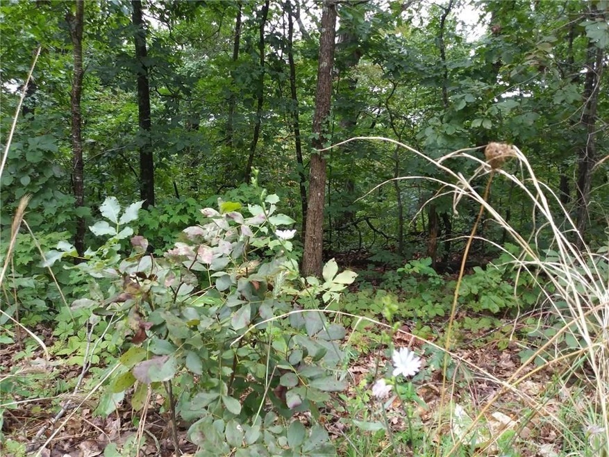 30 Rockhill Ln, Bella Vista, AR 72715 - photo 1