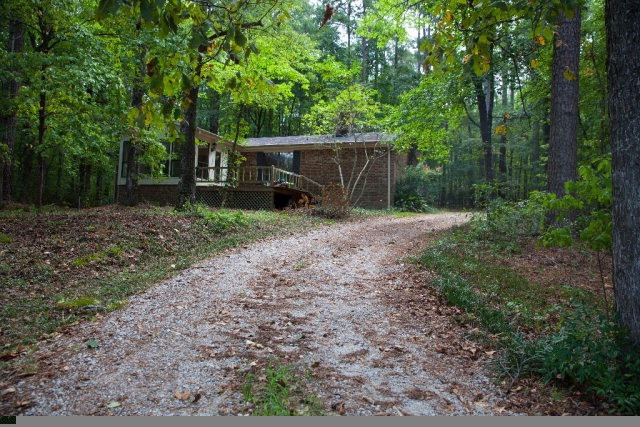 Main View