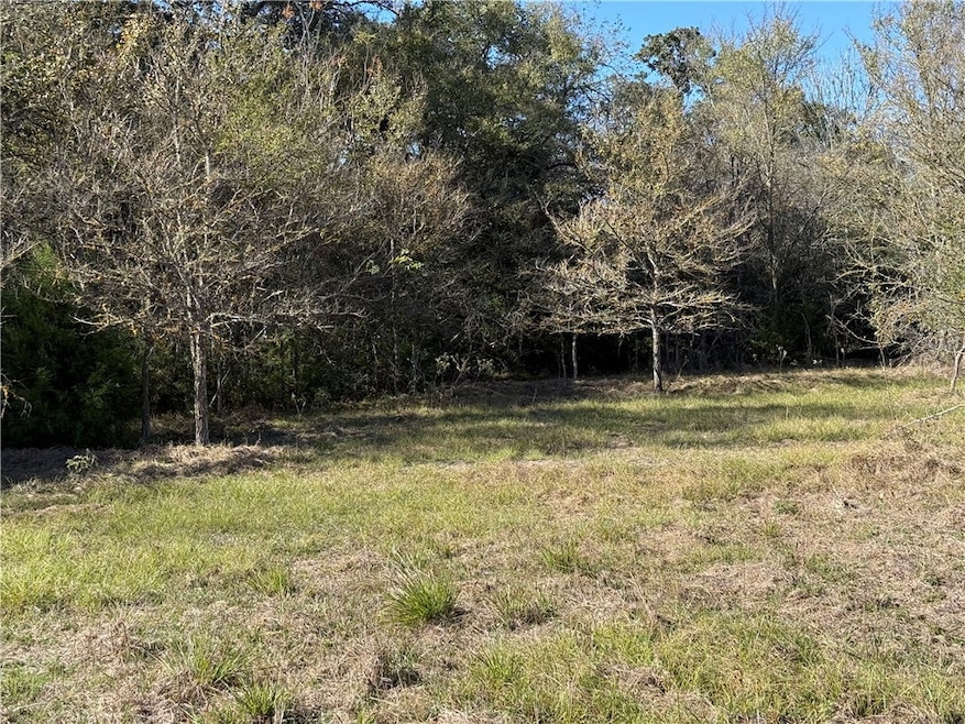 6535 Zak Pvt Rd, Bryan, TX 77808 - photo 1