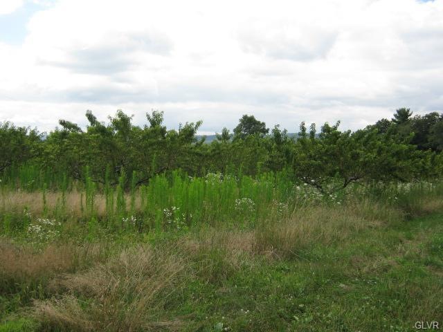 0 Beech Hollow Rd unit 455449, Schuylkill County, PA 17960 - photo 1