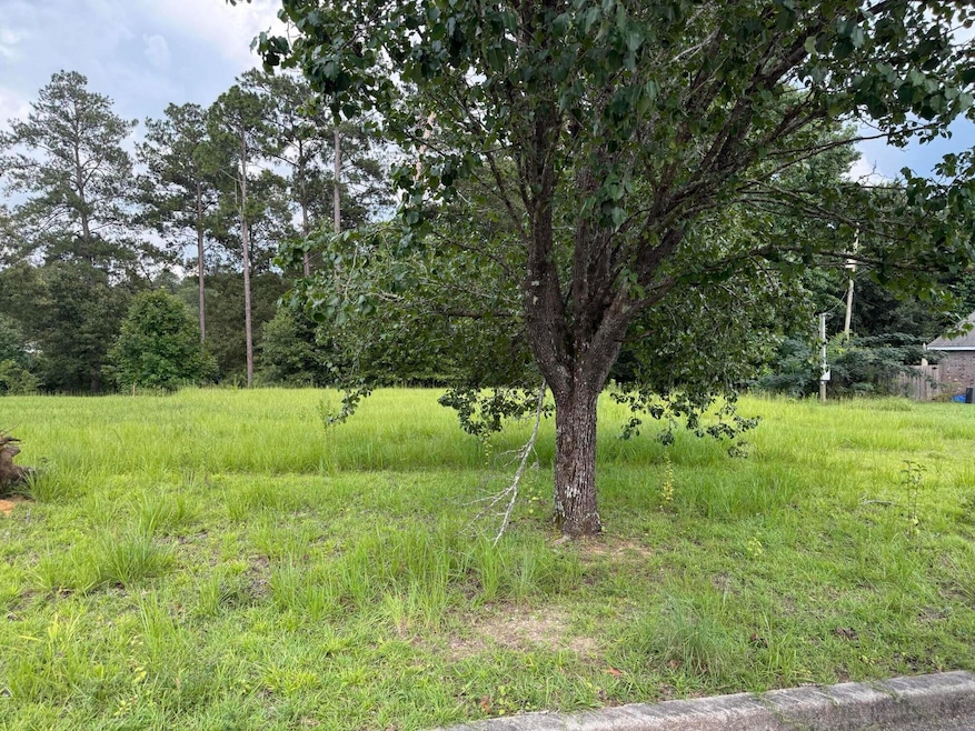 20 W Lakeview Dr, Columbia, MS 39429 - photo 1