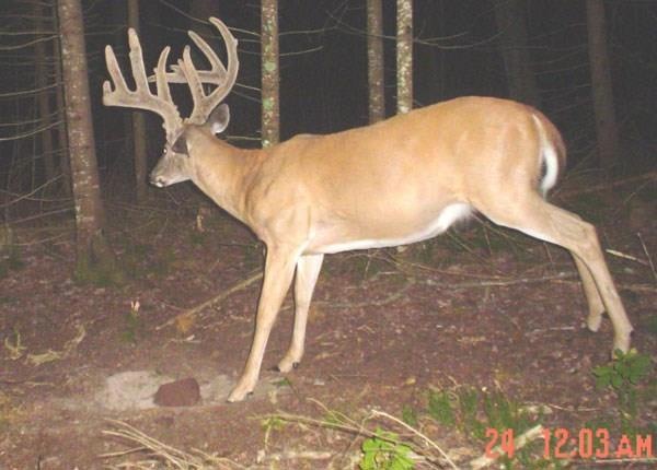 0 Ormsby Rd, Deerbrook, WI 54424 - photo 1