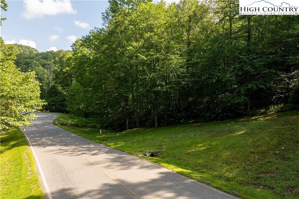 TBD Lot 106 Firethorn Trail, Blowing Rock, NC 28605 - photo 1