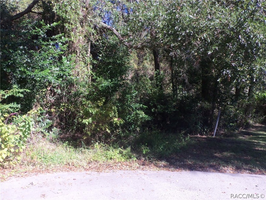 22 SW 191st Ave, Dunnellon, FL 34432 - photo 1