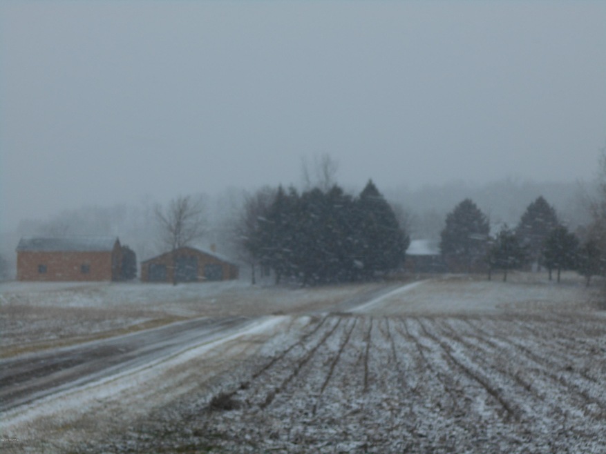 1561 140th Ave, Wayland, MI 49348 - photo 1