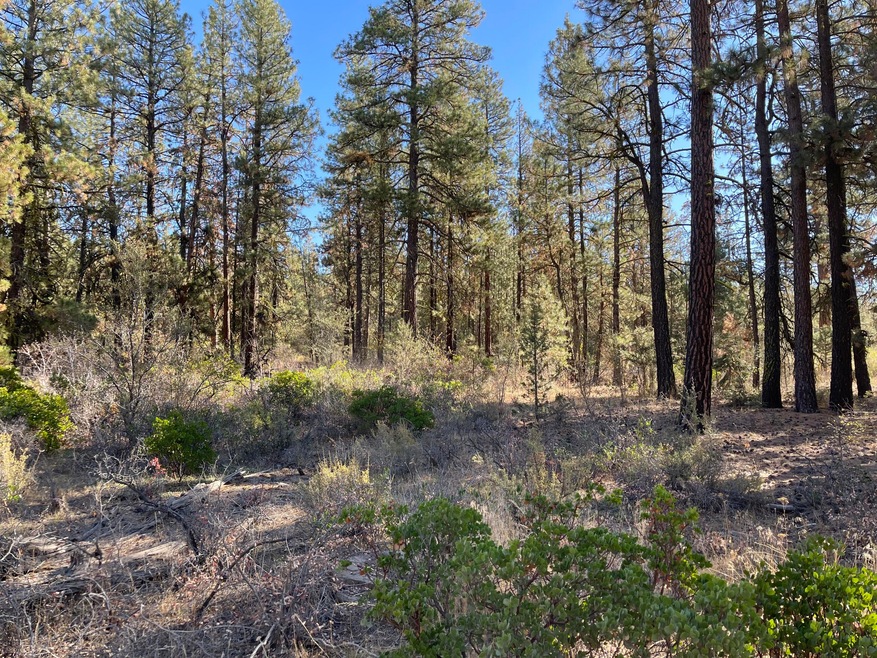 2.28 ~ 15K ~ Bluebird Drive ~ Bonanza