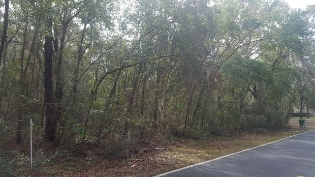 A & B Franklin St, Darien, GA 31305 - photo 1