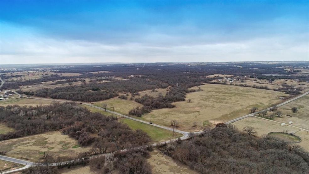 TBD Erwin @ Zion Hill Rd, Poolville, TX 76487 - photo 1