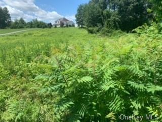 273 Perkinsville Rd, Highland, NY 12528 - photo 1