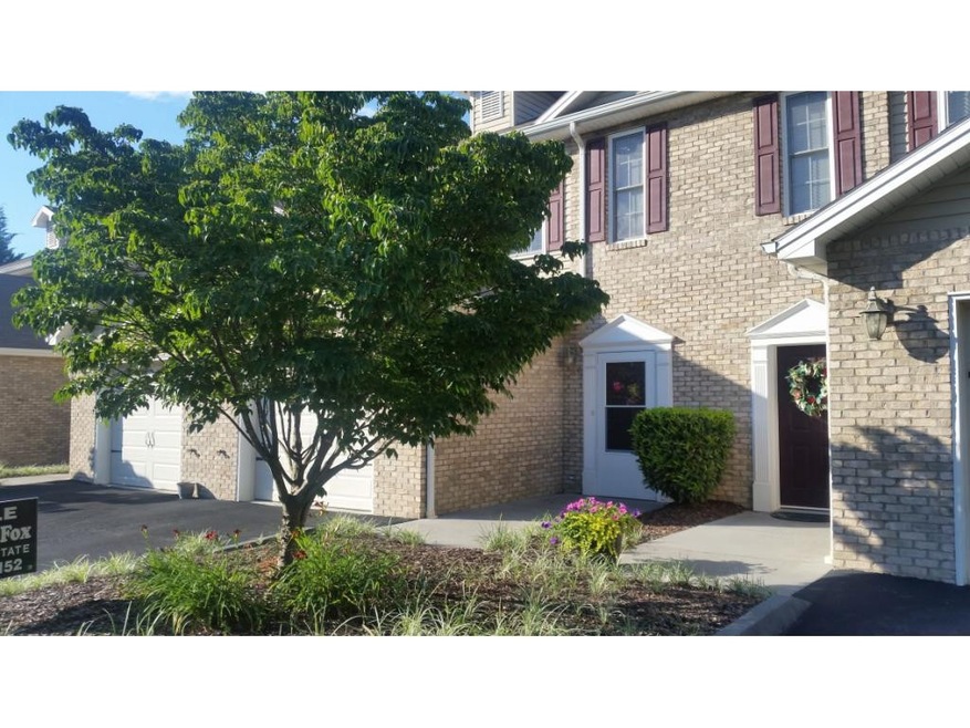 piney flats condo