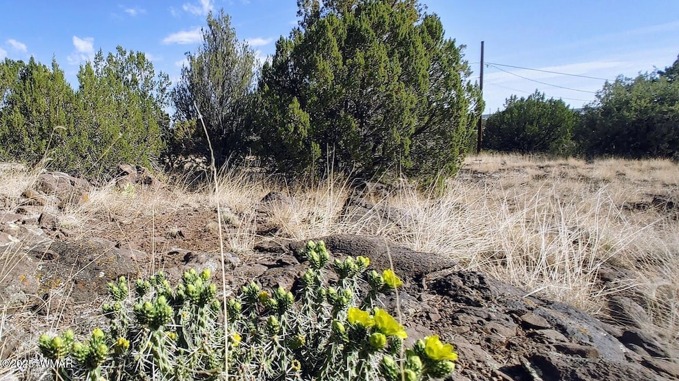1799 Scott Place, Show Low, AZ 85901 - photo 1