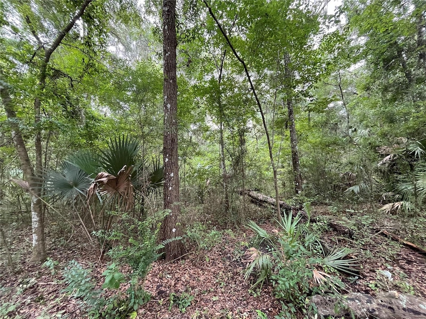 0 NW 65th St unit MFROK224268, Ocala, FL 34482 - photo 1