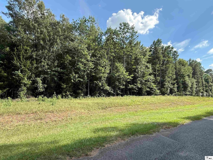 00 Louisiana 3074 unit Tract 3, Ruston, LA 71270 - photo 1