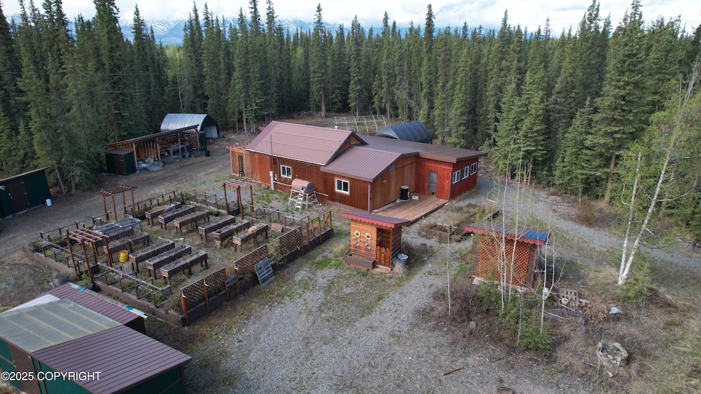 2D1 & 6 N Birch Ln, Tok, AK 99780 - photo 1