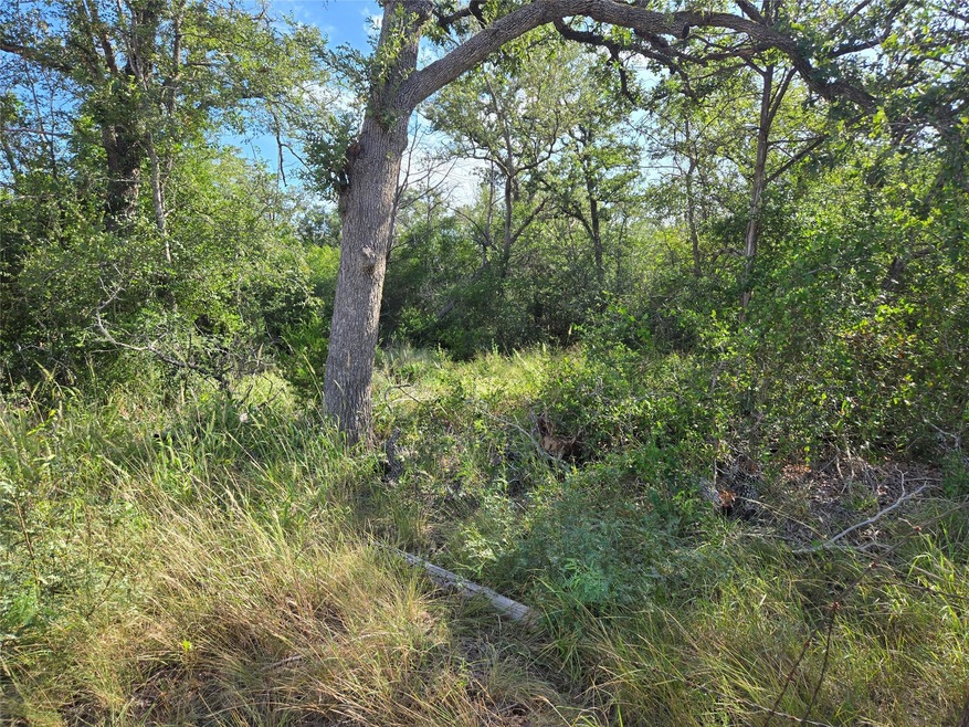 View of local wilderness