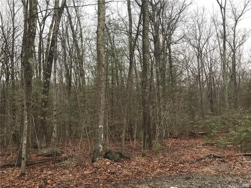 77 New City Rd, Stafford Springs, CT 06076 - photo 1