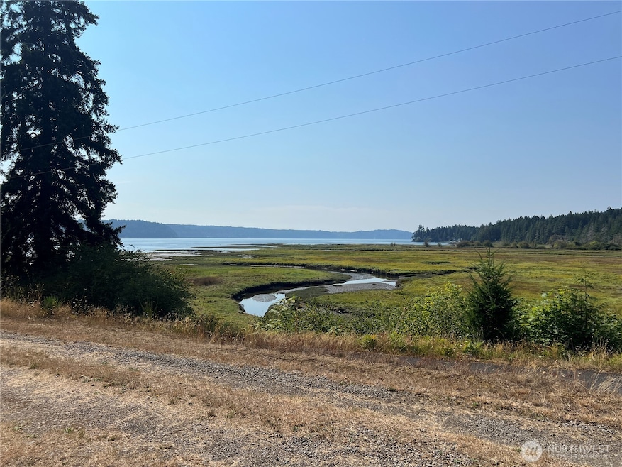 View of Duckabush River and Estuary