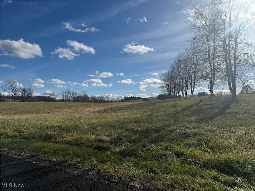 5089 Bayard Rd, Homeworth, OH 44634 - photo 1