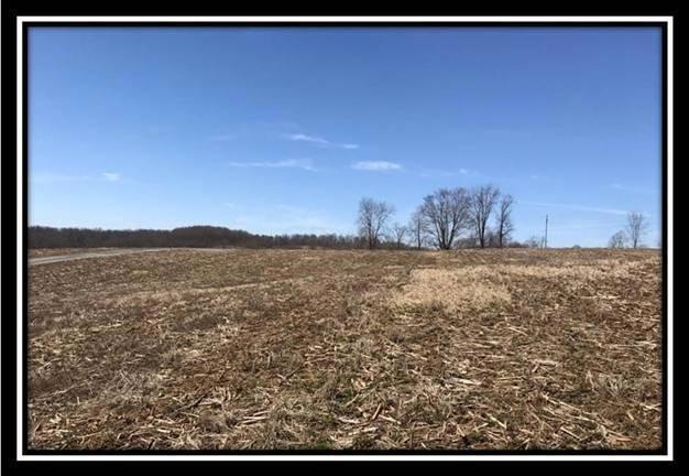 10230 Rankin Rd, Glenford, OH 43739 - photo 1