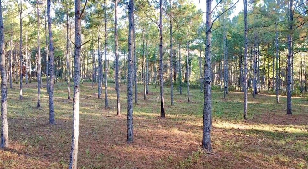 00 Collins Rd, Cairo, GA 39828 - photo 1