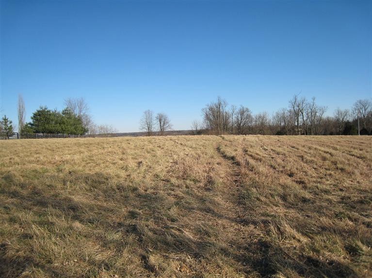 8 Elliston Ln, Versailles, KY 40383 - photo 1