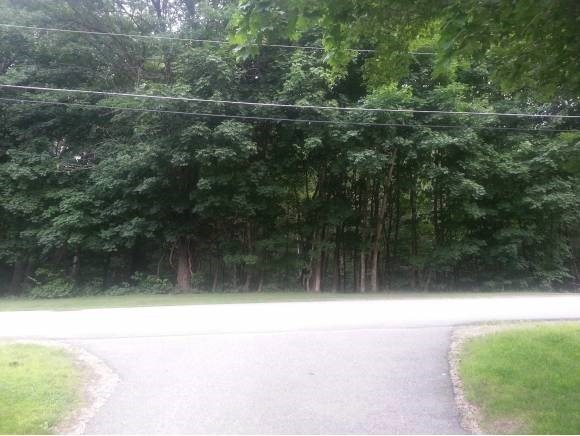 226 Lot #226 Depot Rd, Conway, NH 03860 - photo 1