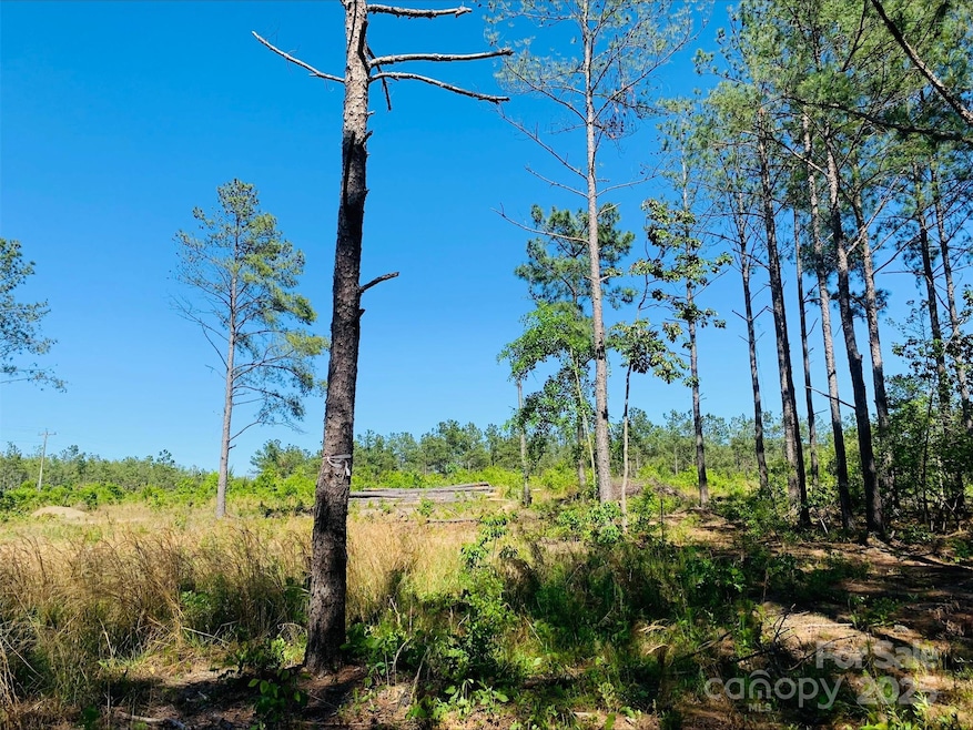 1561 Jones Rd, Kershaw, SC 29067 - photo 1