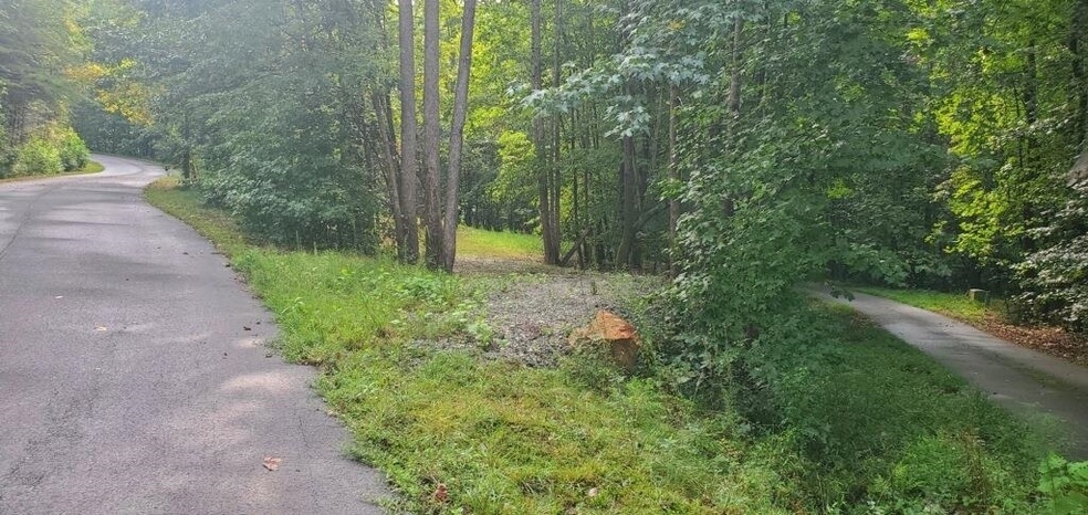 0 Tall Oak Dr unit 20143788, Sautee Nacoochee, GA 30571 - photo 1