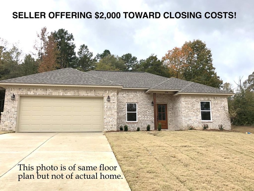 3008 Blackbriar Dr, Oxford, MS 38655 - photo 1