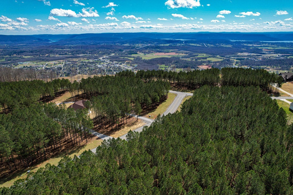 0 Wilderness Dr unit 1352099, Jasper, TN 37347 - photo 1