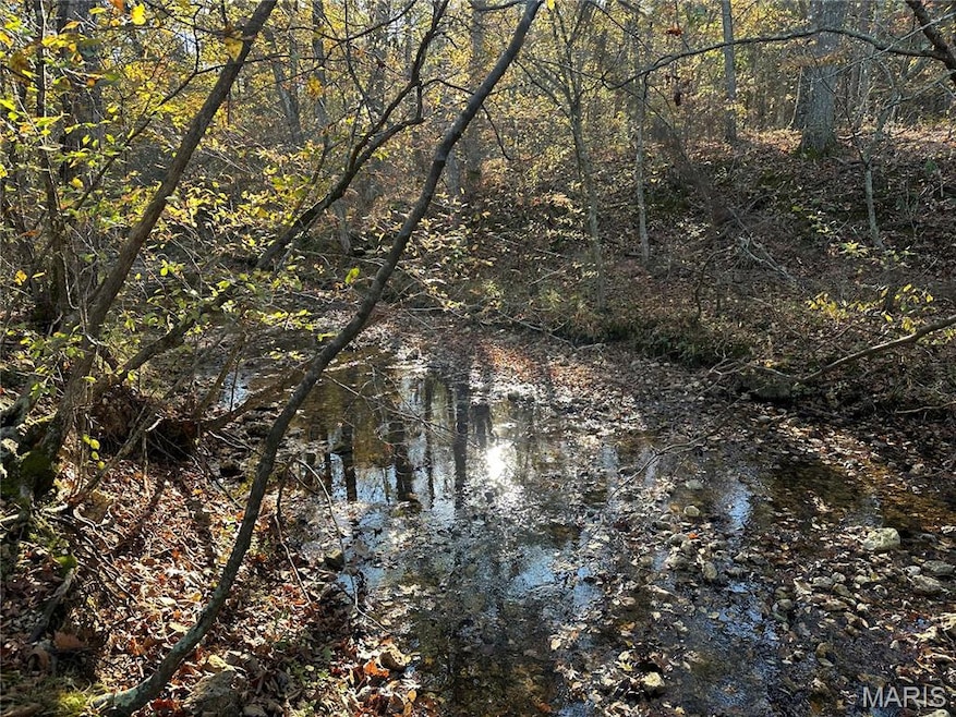 00 County Road 4, Belleview, MO 63623 - photo 1