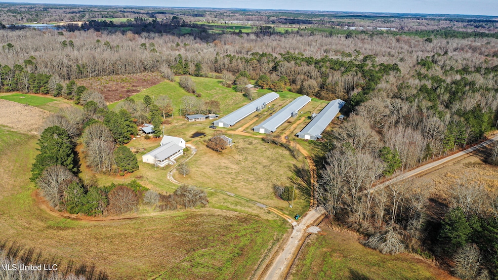 DJI_0369