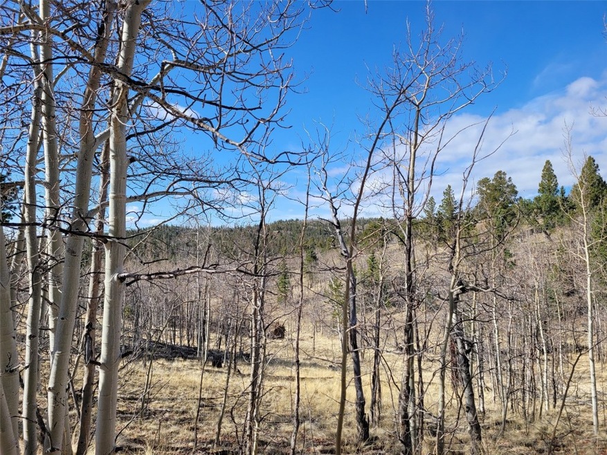 187 Rhea Rd, Como, CO 80432 - photo 1