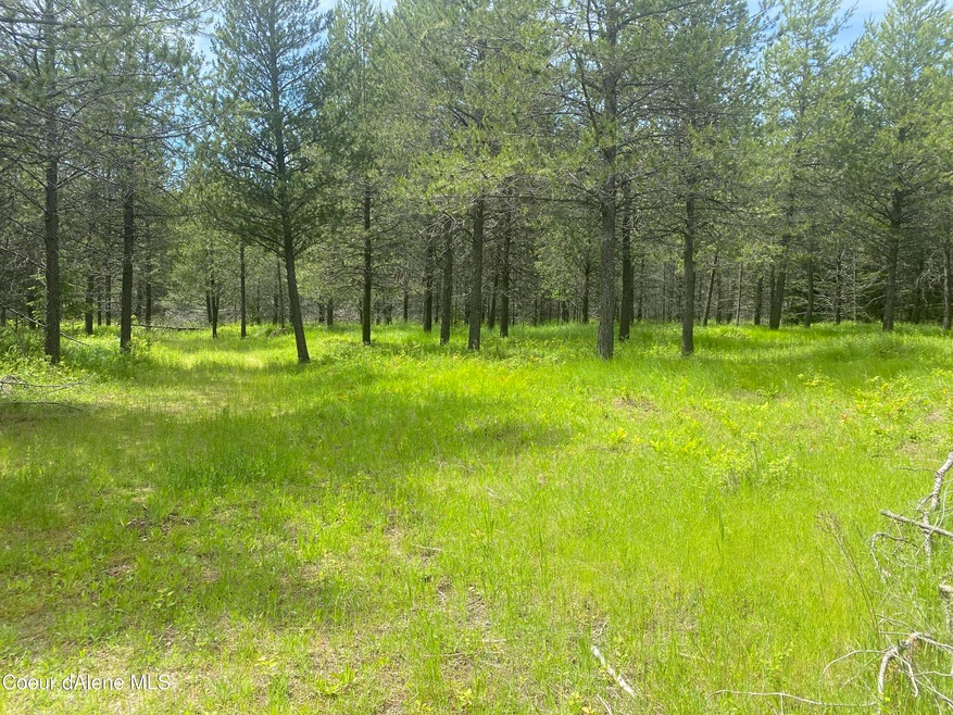 NNA Red Fir Rd, Athol, ID 83801 - photo 1