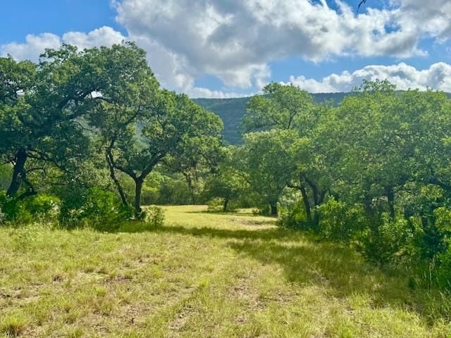 0 John Buchanan Rd unit 24226662, Leakey, TX 78873 - photo 1