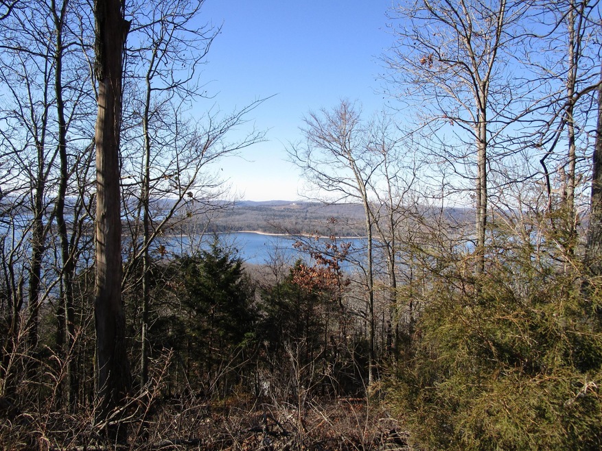 Lot 8 Kings Bishop, Kimberling City, MO 65686 - photo 1