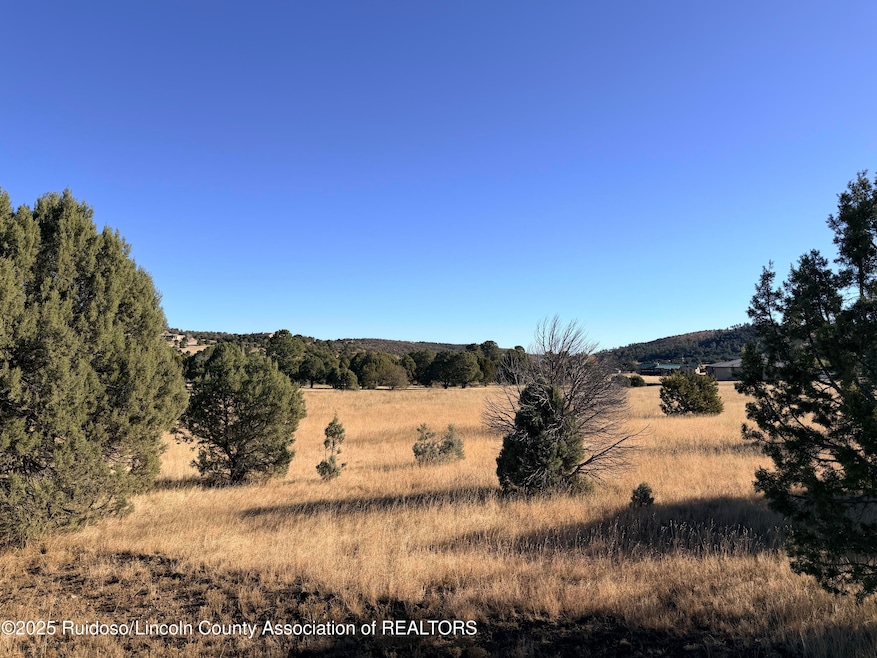 270A Saddleback Rd, Alto, NM 88312 - photo 1